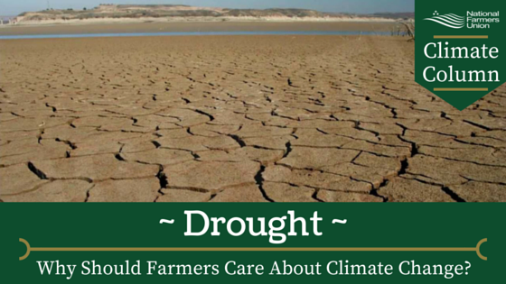 Climate Column - Drought
