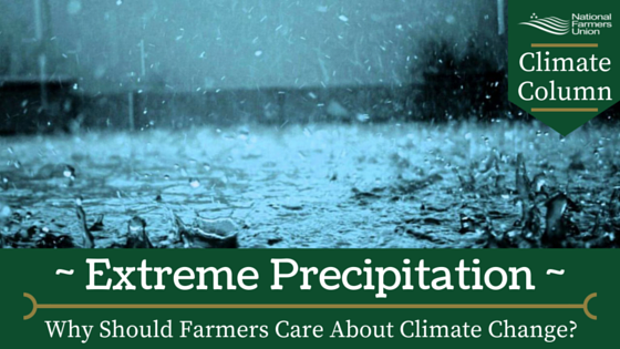 Climate Column - Extreme Precipitation